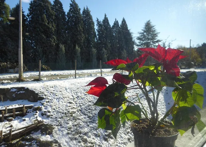 Alloggio per agriturismo Tenuta Bettozza